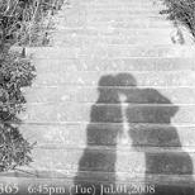  MIYAKOJIMA365 , July 2008