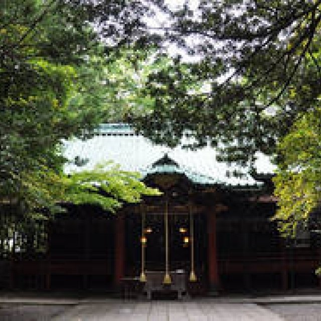  江戸七氷川筆頭、「赤坂氷川神社」とのプロジェクト ギャラリー