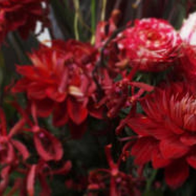  BIG BEACH FESTIVAL '09主催者、FATBOY SLIM　インタビュー　Gallery