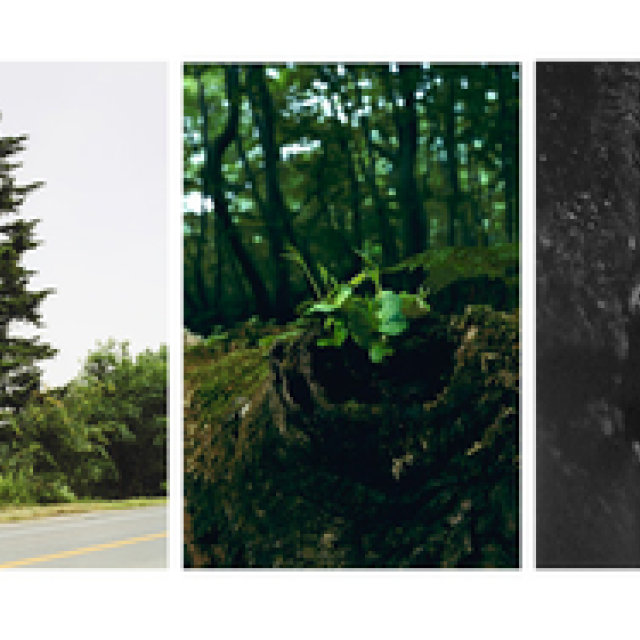  more treesチャリティ写真展「TOUCH WOOD」展開催 ギャラリー