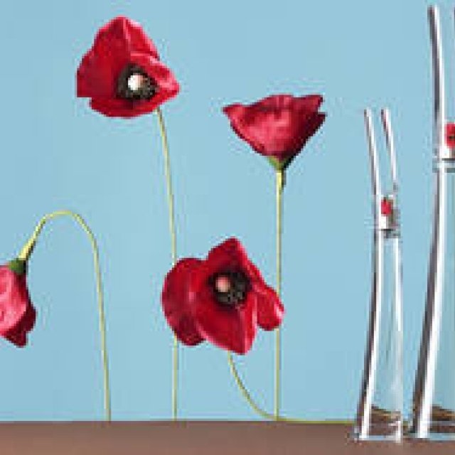  KENZO PARFUMS 「フラワー バイ ケンゾー オーデパルファム エサンシエル」 ギャラリー