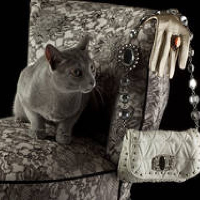  クリスマス特集｜Time to Party!　SHOES&BAGS Part1 ギャラリー