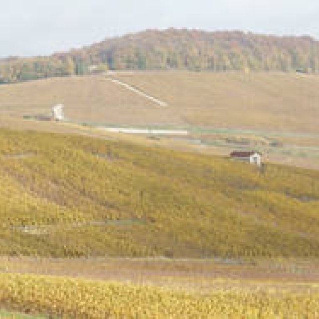  フランス シャンパーニュ紀行｜Chapter 1｜ボランジェ｜Bollinger ギャラリー