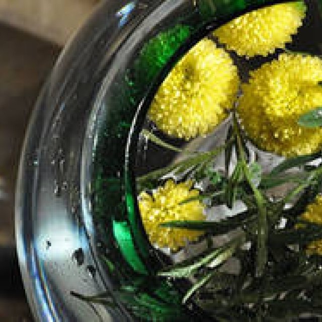  塚田有一│みどりの触知学 第4回：冬の太陽へ ギャラリー