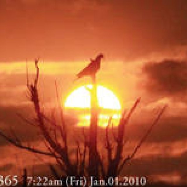  MIYAKOJIMA365 , January 2010