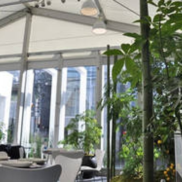  塚田有一│みどりの触知学 第6回：BMW Studio ONE＝温室について ギャラリー