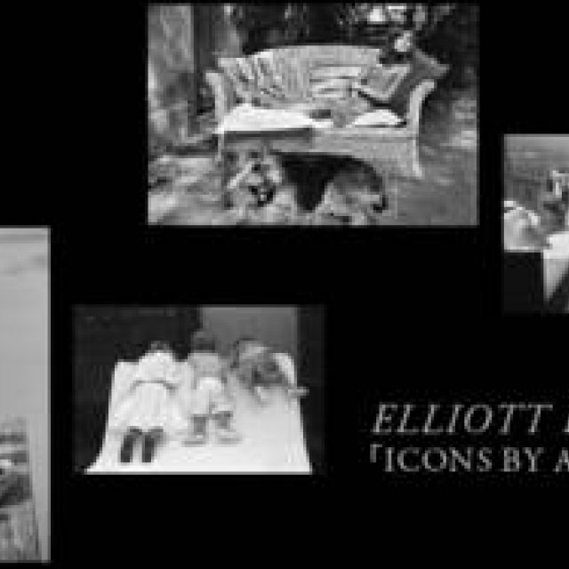  TOD’S｜写真家エリオット・アーウィットが撮り下ろすトッズの世界 ギャラリー