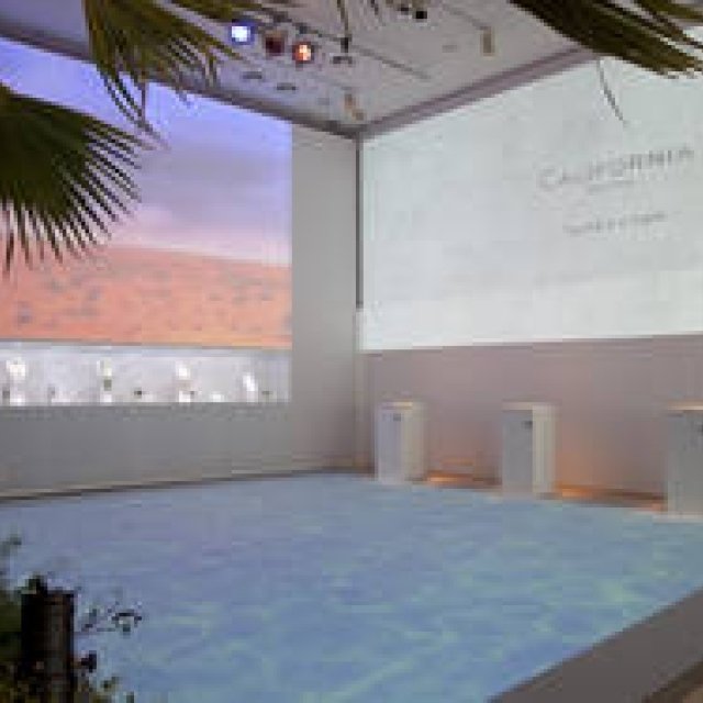  ヴァン クリーフ＆アーペル｜Van Cleef & Arpels Carifornia Rêverie ギャラリー