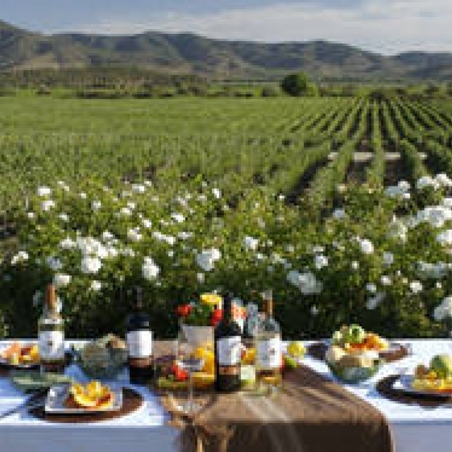  チリワイン「ヴィーニャ・ベンティスケーロ」｜VINA VENTISQUERO ギャラリー