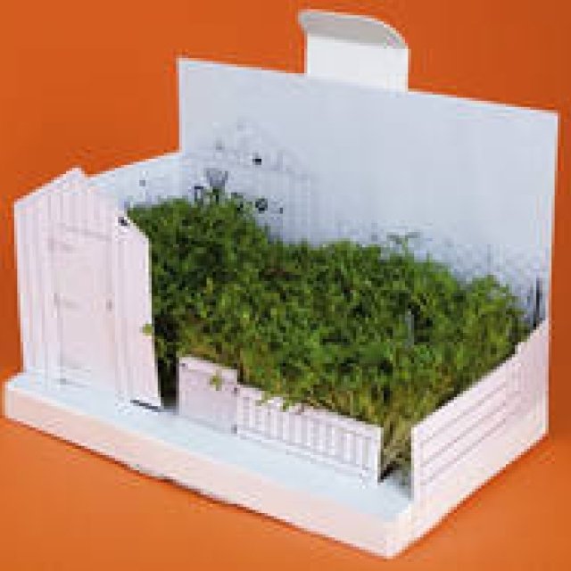  マイウェイ| mYwaY｜英国発新感覚ギフト『ポストカーデン』 ギャラリー