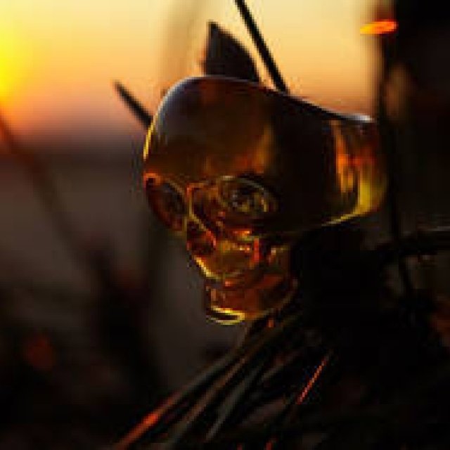  Cakes｜ ギャラリー