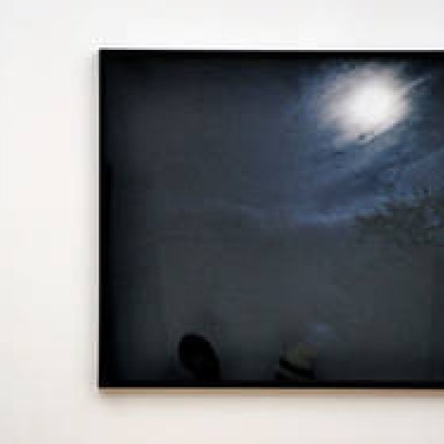  連載・塚田有一│みどりの触知学 第8回：うつ　うつろひ　うつつ ギャラリー