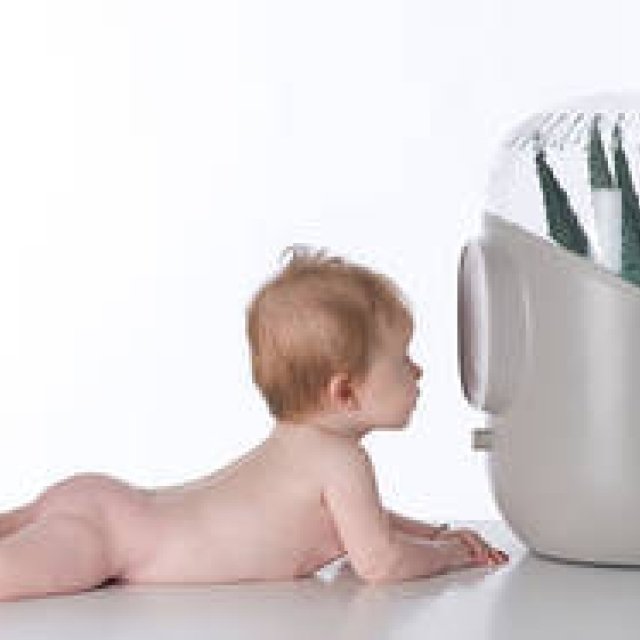  Synergy Trading｜観葉植物を使ったエコな空気清浄機「ANDREA」日本初上陸 ギャラリー