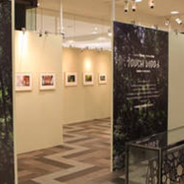 EVENT｜more treesチャリティ写真展、「TOUCH WOOD展」開催