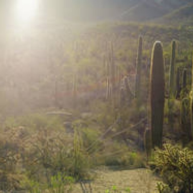  more tree｜六本木アクシスビルでTOUCH WOOD art project 開催 ギャラリー