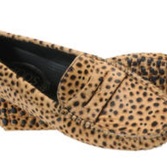  TOD'S｜クリスマスのトッズは“LEO” Gallery