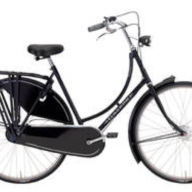  Gazelle｜オランダの老舗高級自転車ブランド「Gazelle」に乗る ギャラリー