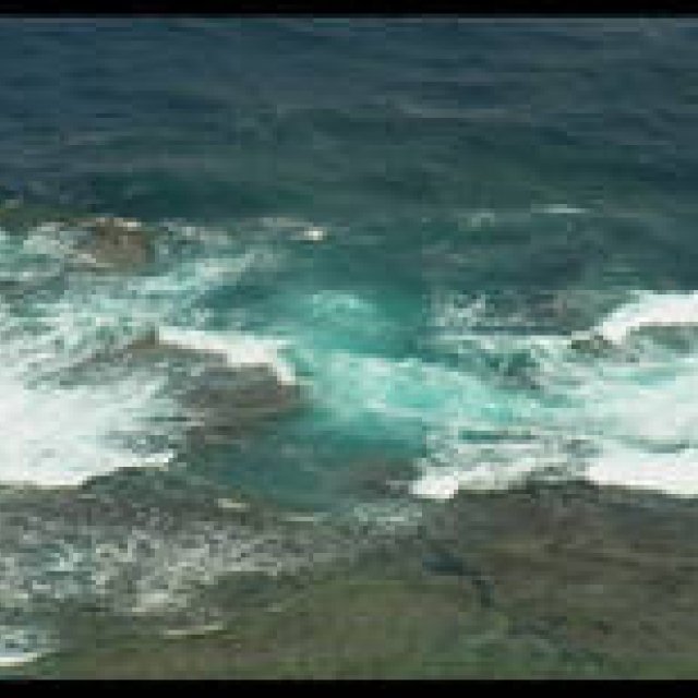  シンジョウコウジ × リコーCX4 「ふとした瞬間、見えるもの」 ギャラリー