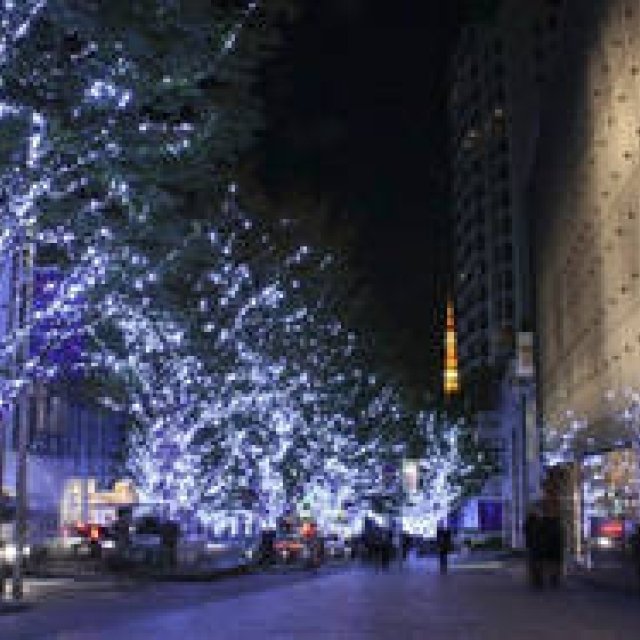  グランド ハイアット 東京｜東京2010クリスマス ギャラリー