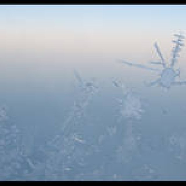  リコー｜川内倫子（写真家）×リコーGXR＋S10 ギャラリー