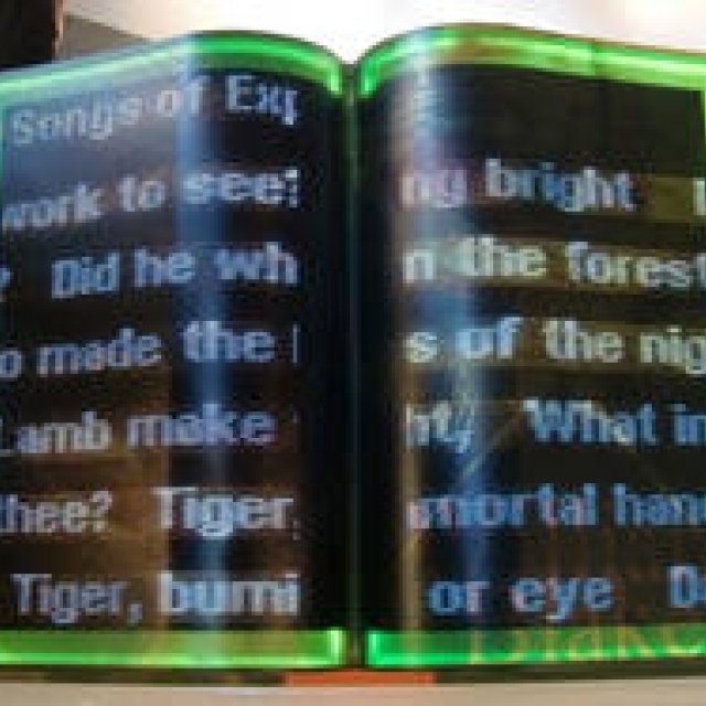  連載・マシュー・ワォルドマン｜Vol.17 マシュー的、「Art Basel Miami 2010」レポート ギャラリー