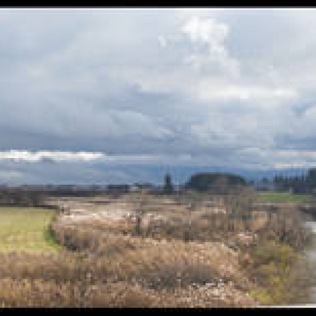  RICOH｜鶴田真由（女優）×リコーGXR+A12 ギャラリー