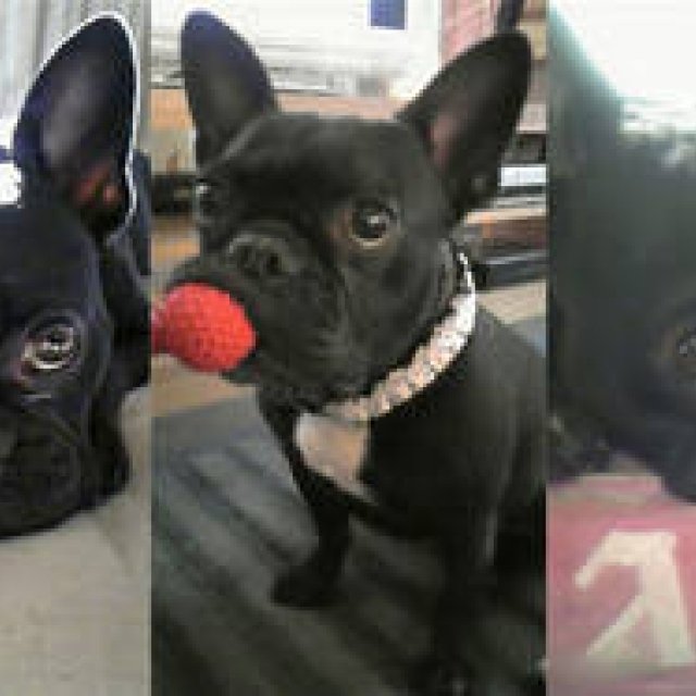  連載・SAKURA｜2011.3｜第11回 私にとっての癒しスタイル ギャラリー