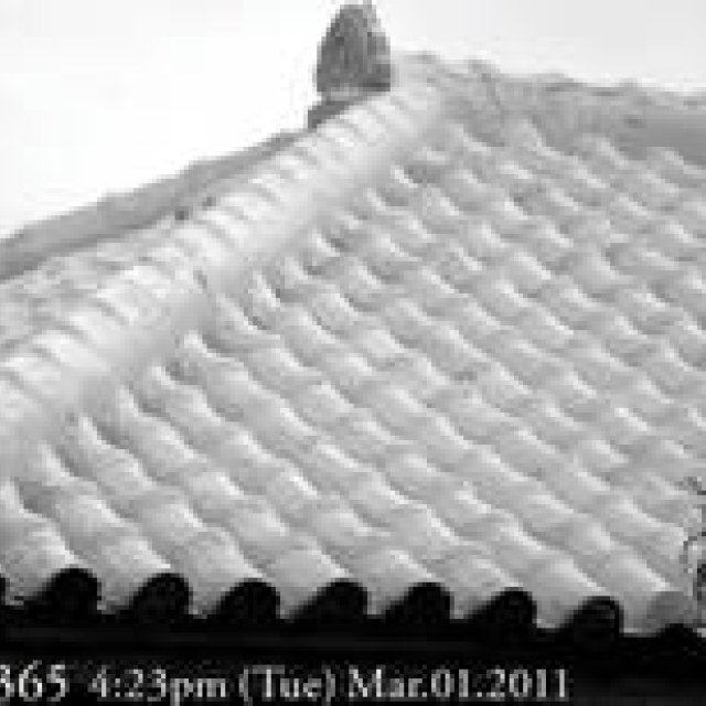  MIYAKOJIMA365｜March 2011