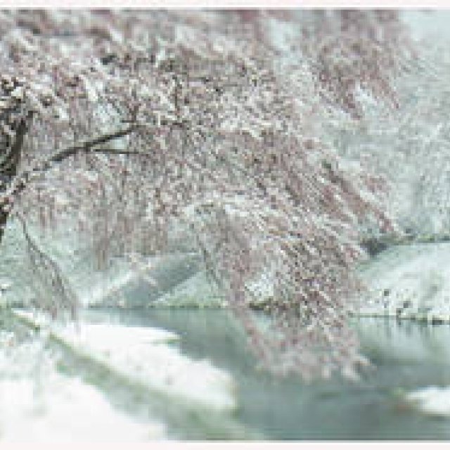  写真家 テラウチマサト　インタビュー ギャラリー