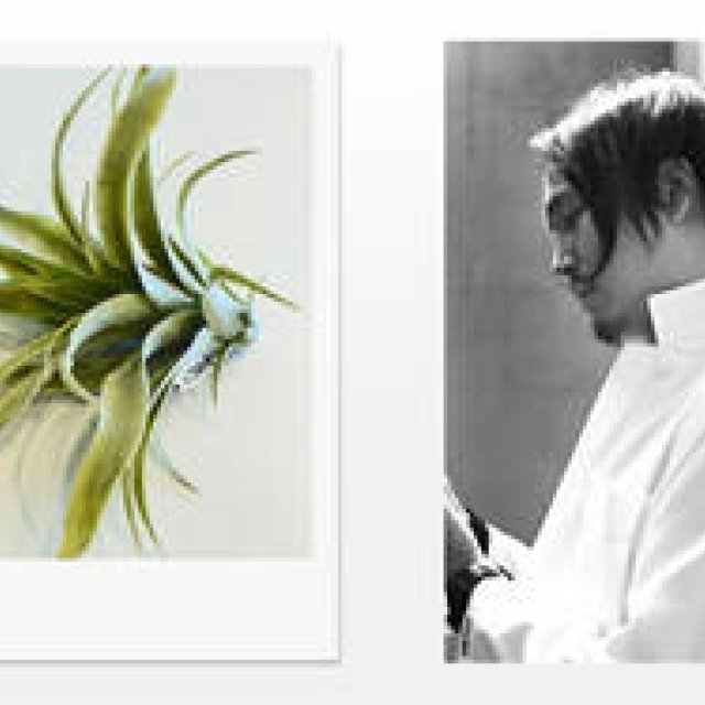  HELMUT LANG｜フラワーアーティスト東信のコラボレーション！ ギャラリー