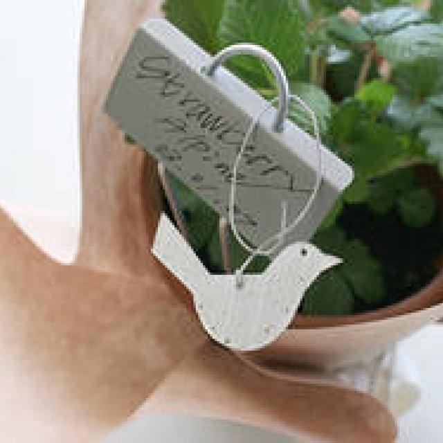  連載・Yoko Ueno Lewis｜暮らしノート・第7回 「テーブルガーデン：自分で楽しむ心の緑化プロジェクト」 ギャラリー