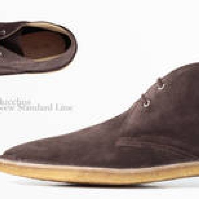  バッカス｜ニュースタンダードライン登場！ Bucchus ギャラリー