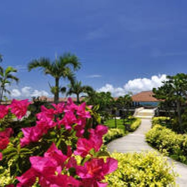  organic elements｜沖縄『はいむるぶし』にスパ・トリートメントメニュー誕生 ギャラリー