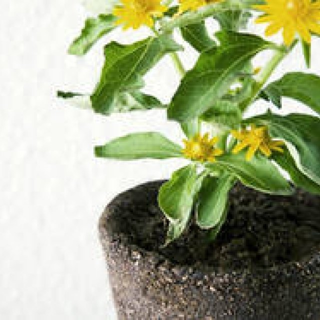  Snow Peak×Perrocaliente｜大地を抜き取ったプランター「EARTH」 ギャラリー