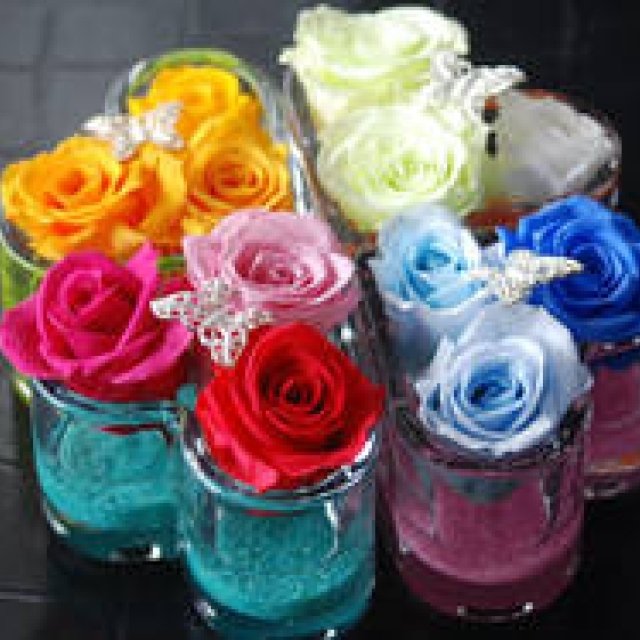  連載・和気雅美｜花のパワーを信じて ギャラリー