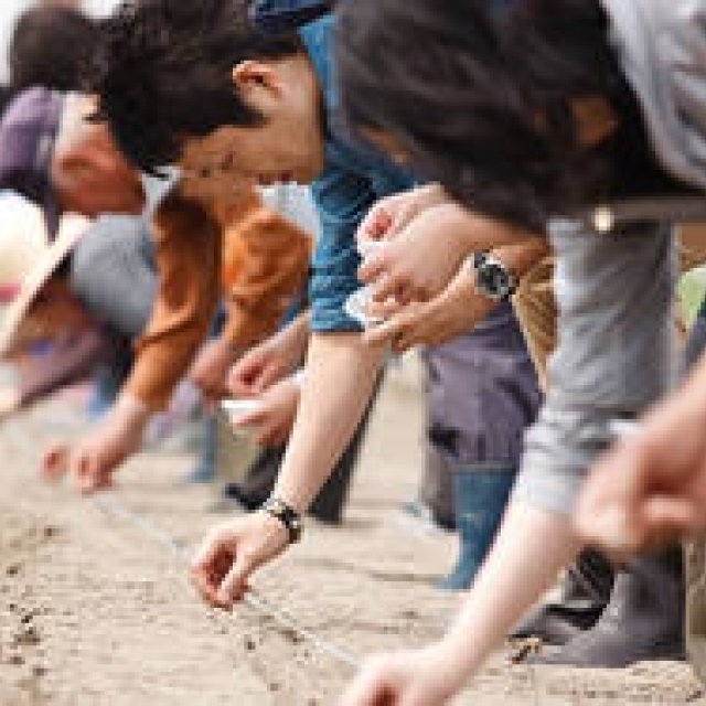  東日本大震災｜東北コットンプロジェクト発足 ギャラリー