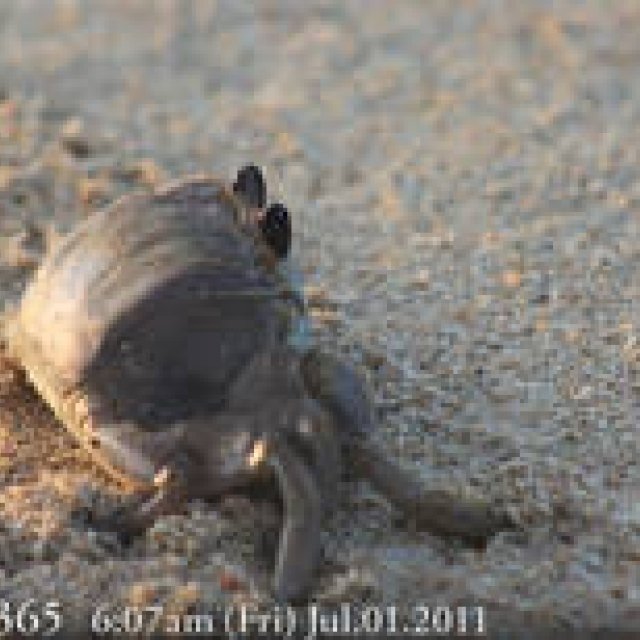  MIYAKOJIMA365｜July 2011