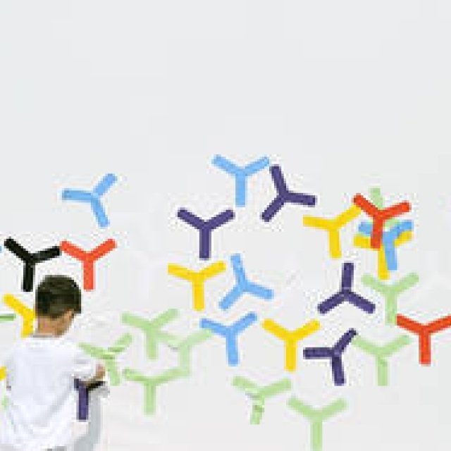  ヨコハマトリエンナーレ2011 ギャラリー