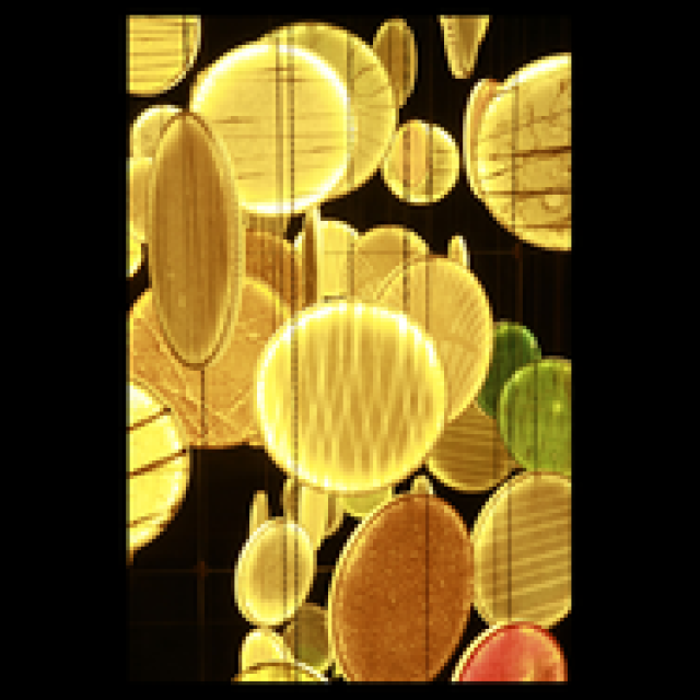  EVENT｜工芸ルネッサンス展覧会「WAO～記憶の森～」 ギャラリー