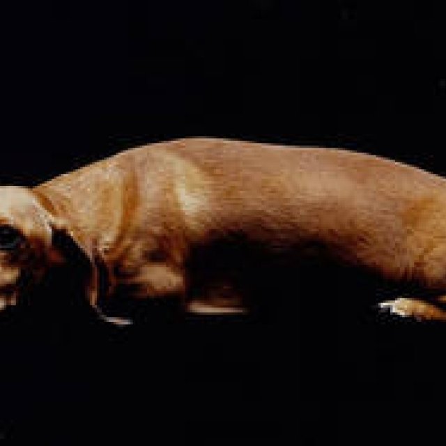  島田 明｜Life is Edit. #027 相棒MAXが教えてくれたこと ギャラリー