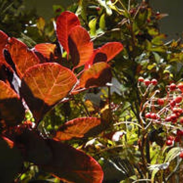  イセタンメンズレジデンス通信2011年10月号｜ISETAN MEN'S｜メンズ館8周年、レジデンス4周年！ Gallery