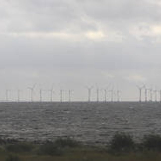  連載・Yoko Ueno Lewis｜暮らしノート・第8回 スウェーデン直感紀行　Vol.1「スウェーデンのときめくシンプル“マグネティック・タウン Ystad（イスタ）”」 ギャラリー