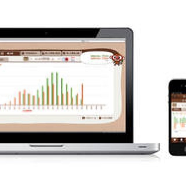 パソコンやケータイでいつでも太陽光発電と消費電力をチェック ギャラリー