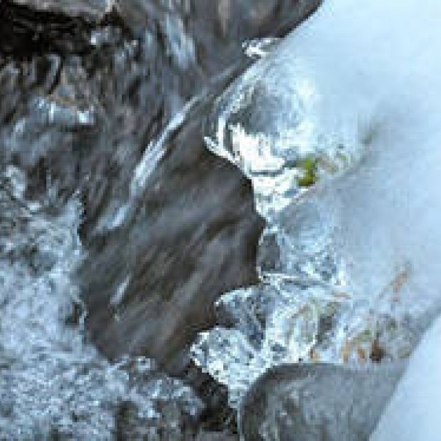 連載・塚田有一│みどりの触知学 第15回 山の冬 ギャラリー