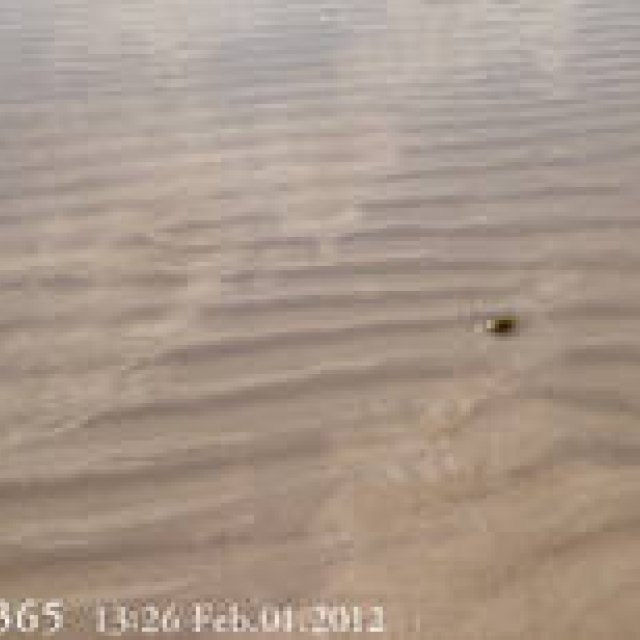  MIYAKOJIMA365｜February 2012