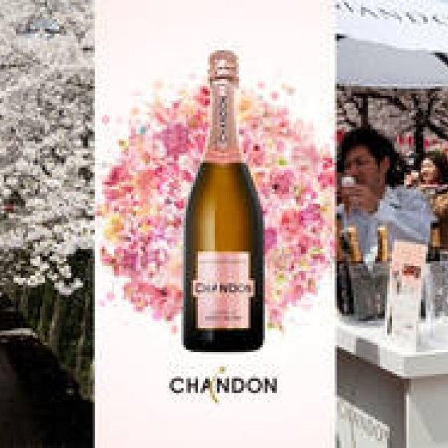 シャンドン ロゼのお花見イベント「お花見 CHANDON 目黒川」開催！