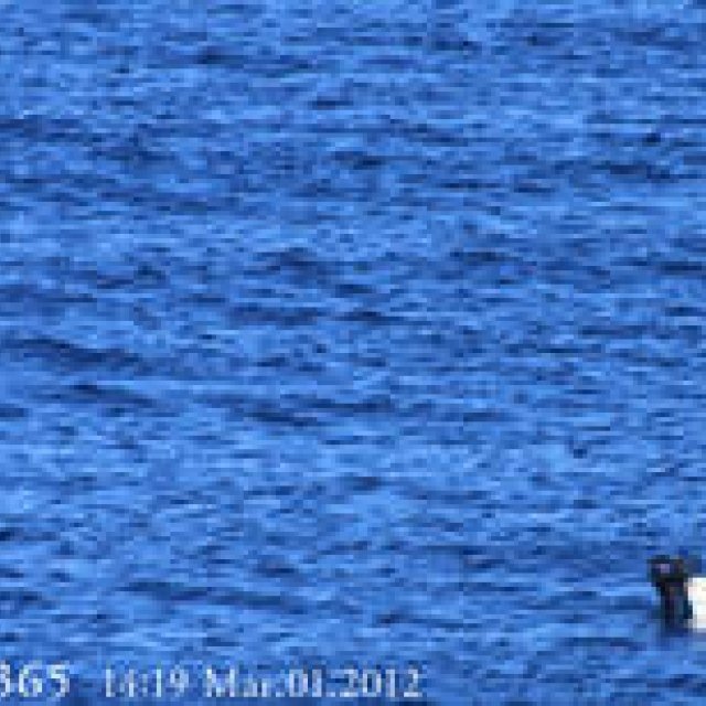  MIYAKOJIMA365｜March 2012