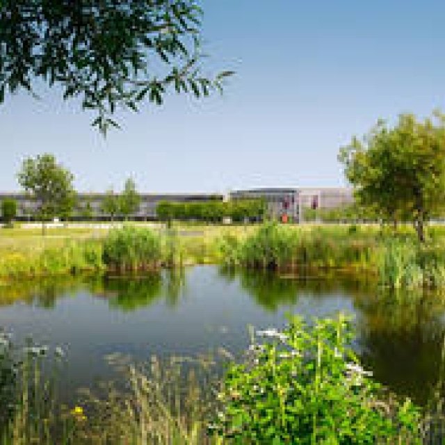 ロールス・ロイスを支える匠たち｜ROLLS-ROYCE ギャラリー