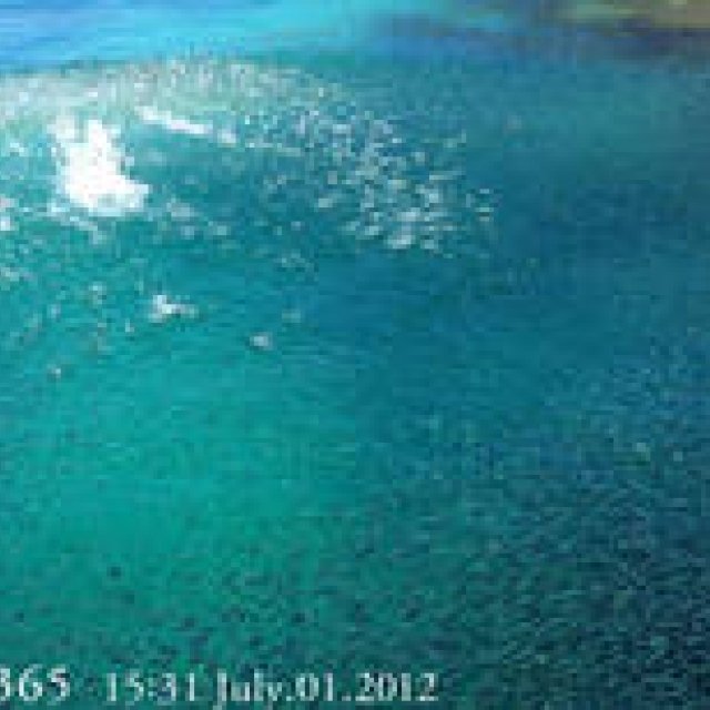  MIYAKOJIMA365｜July 2012