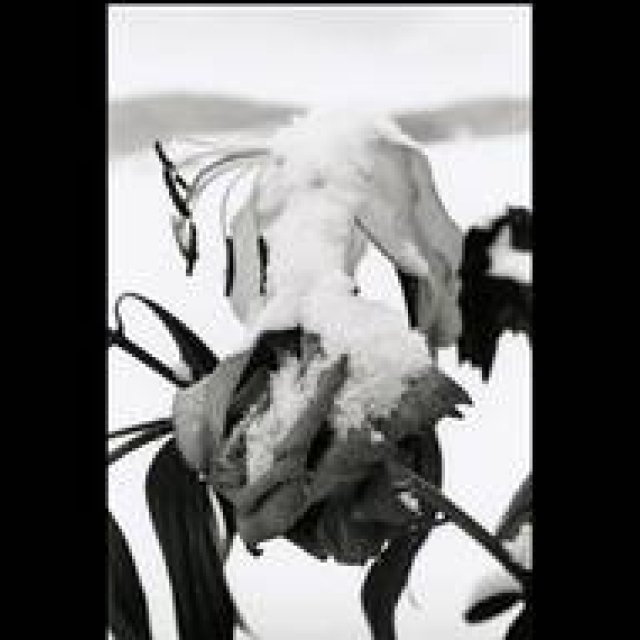 「操上和美―時のポートレイト　ノスタルジックな存在になりかけた時間。」展　開催